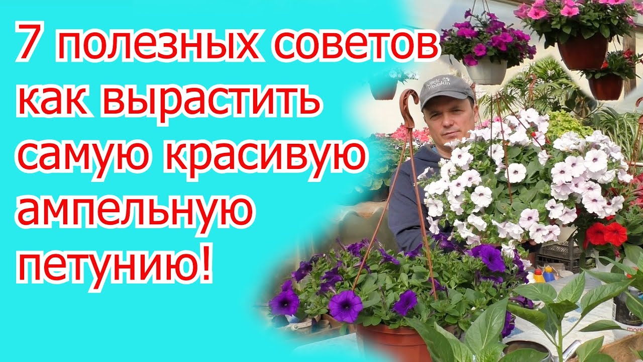 Нажмите, чтобы запустить видео