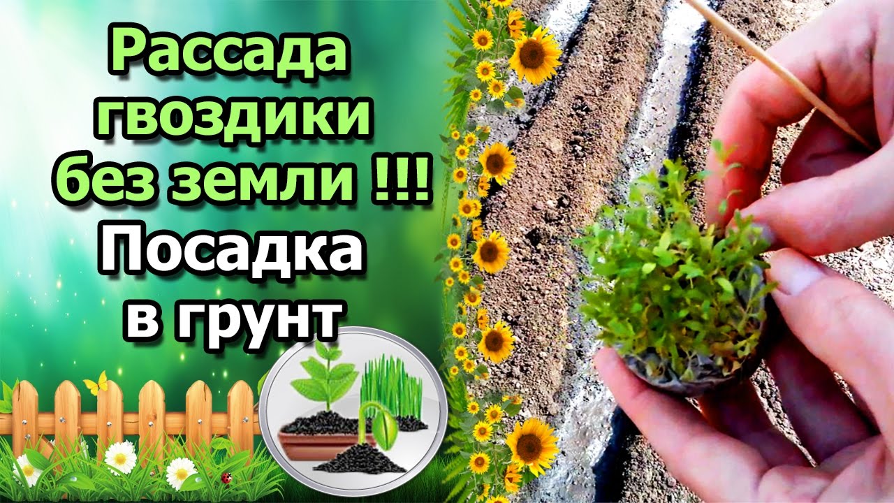 Нажмите, чтобы запустить видео