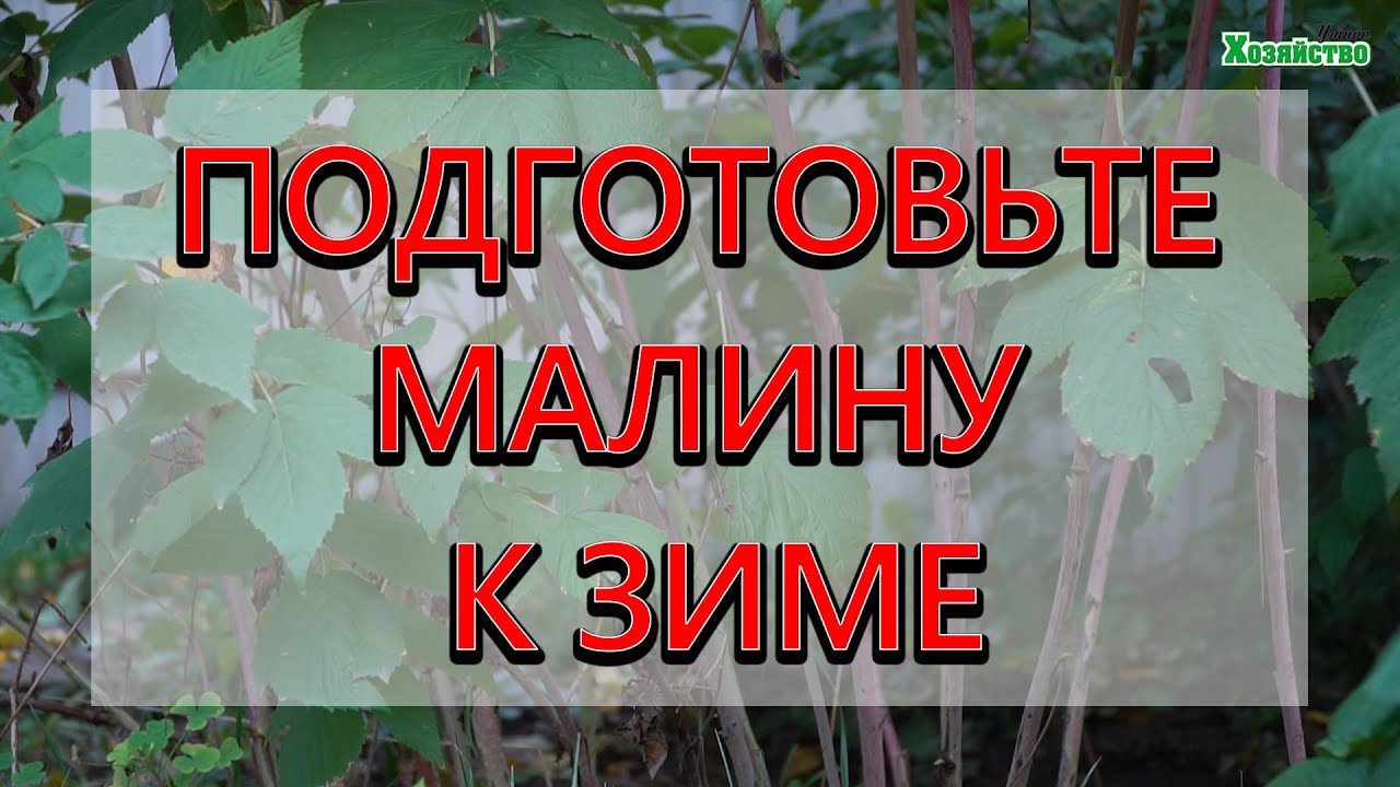 Нажмите, чтобы запустить видео