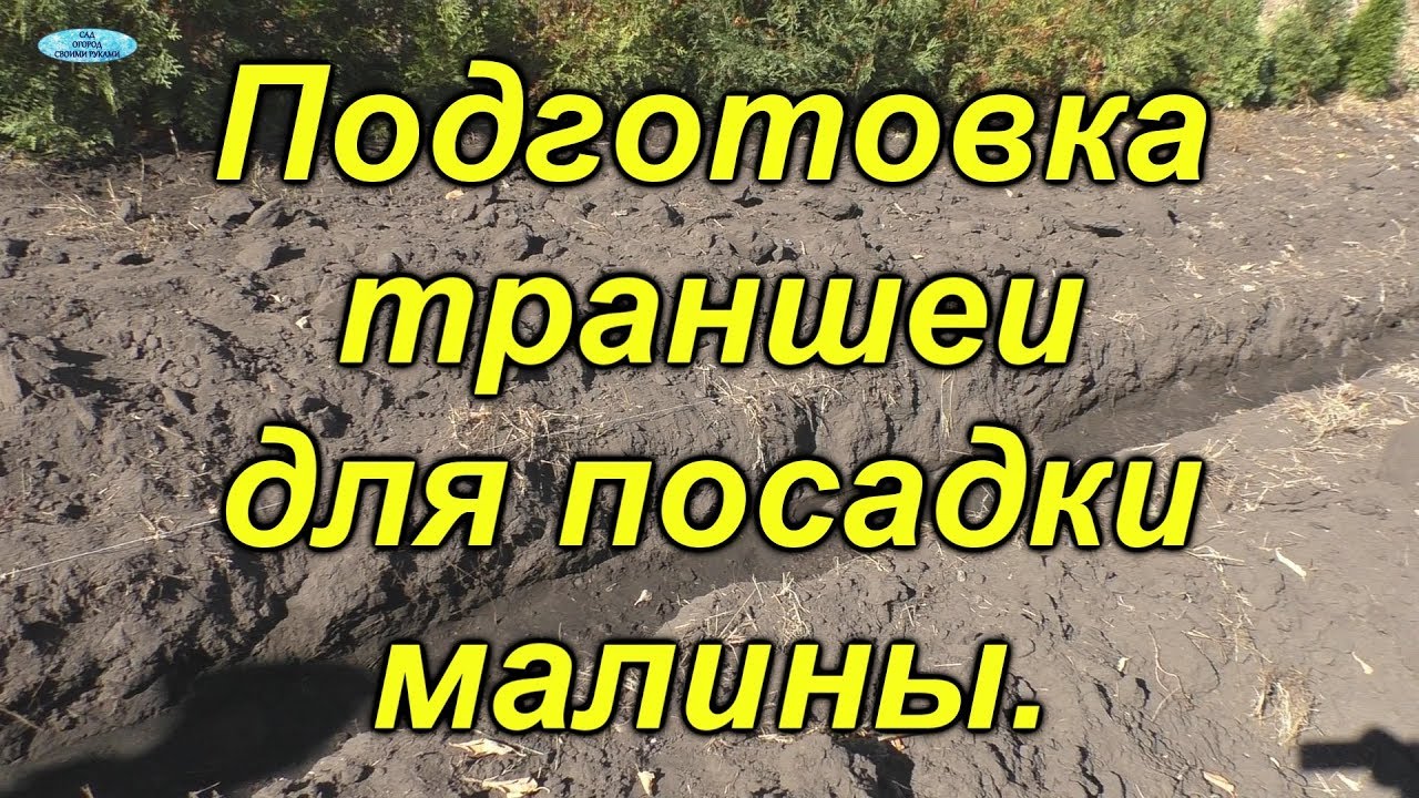 Нажмите, чтобы запустить видео