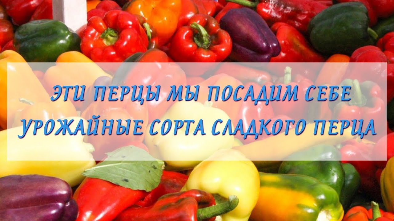 Нажмите, чтобы запустить видео