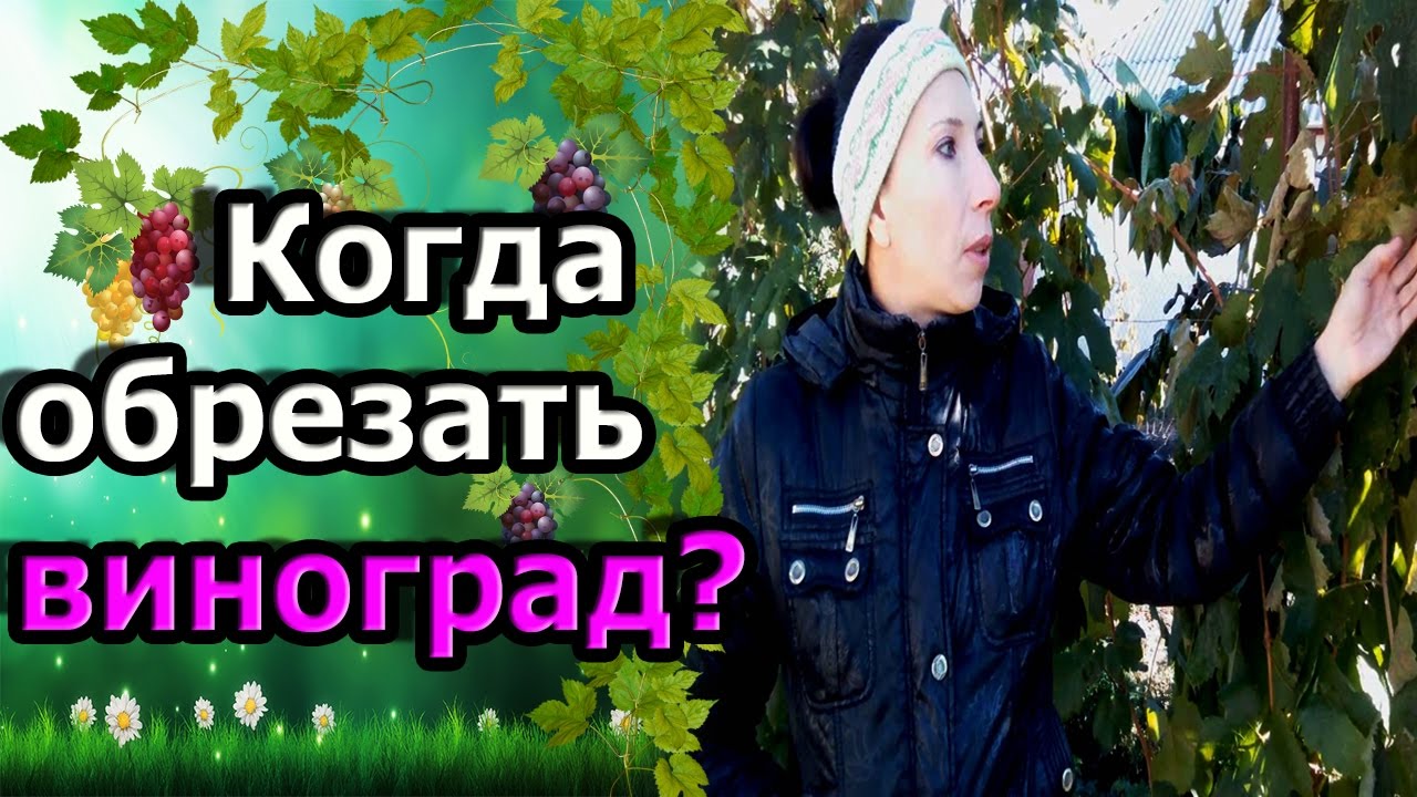 Нажмите, чтобы запустить видео