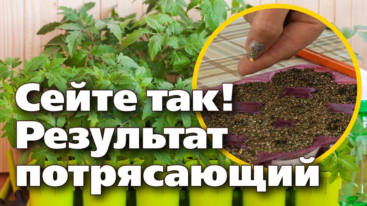 Нажмите, чтобы запустить видео