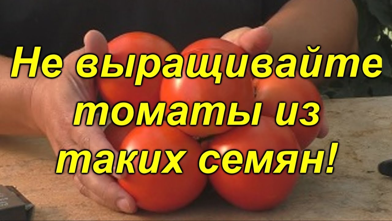 Нажмите, чтобы запустить видео