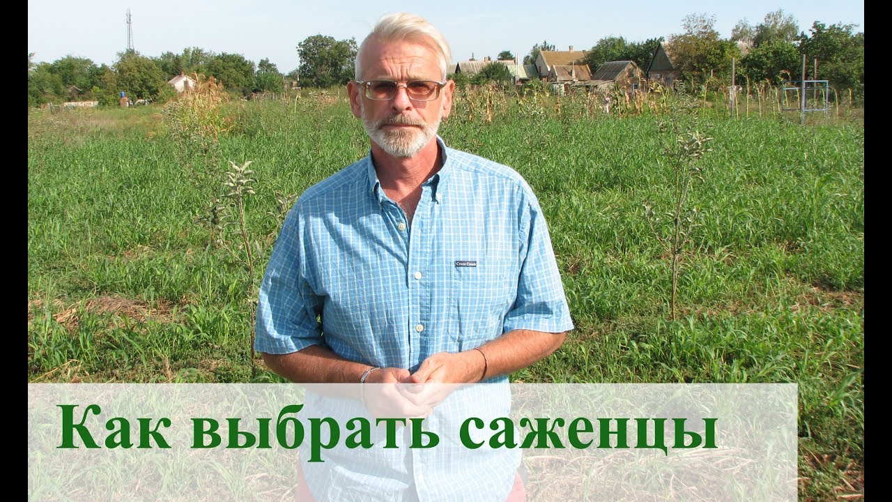 Нажмите, чтобы запустить видео