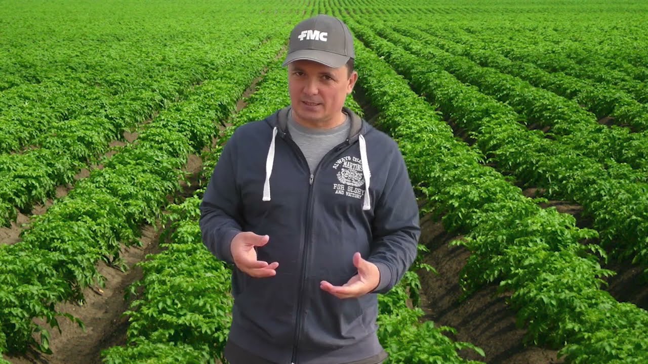 Нажмите, чтобы запустить видео