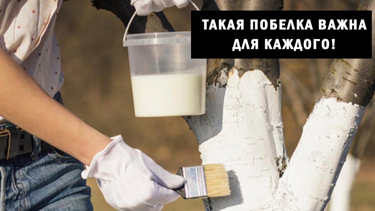 Нажмите, чтобы запустить видео