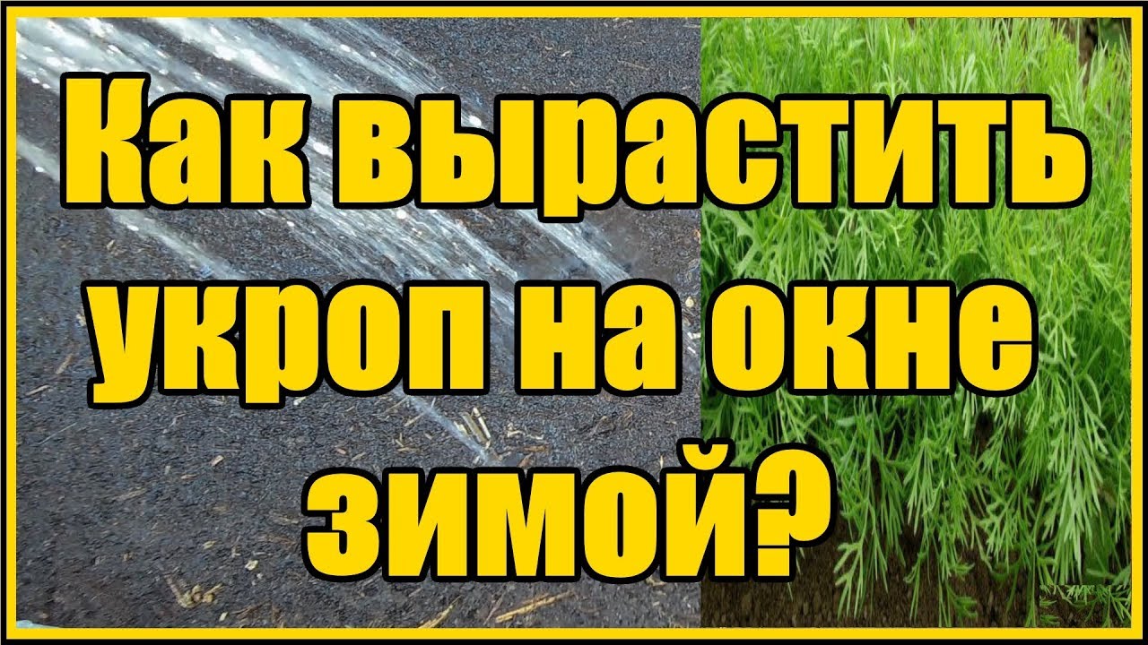 Нажмите, чтобы запустить видео