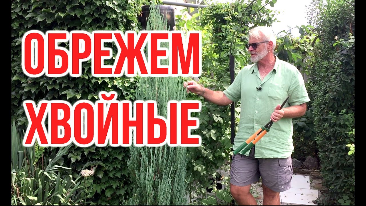 Нажмите, чтобы запустить видео