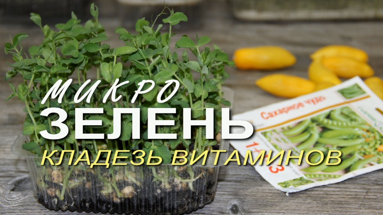 Нажмите, чтобы запустить видео
