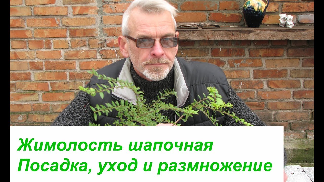 Нажмите, чтобы запустить видео