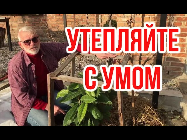 Нажмите, чтобы запустить видео