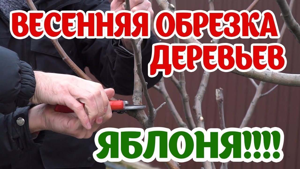Нажмите, чтобы запустить видео