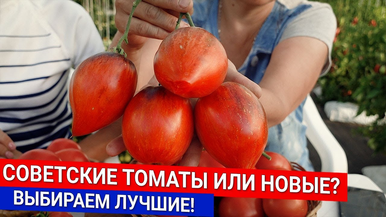 Нажмите, чтобы запустить видео