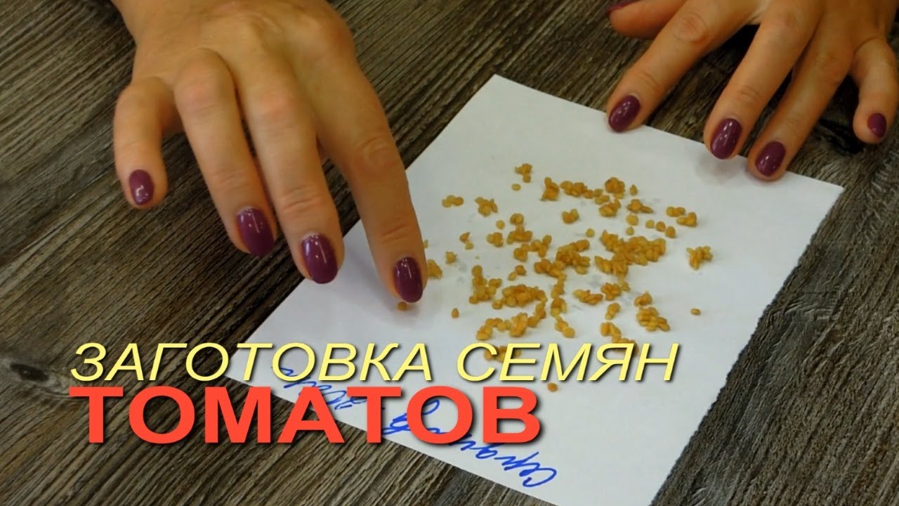 Нажмите, чтобы запустить видео