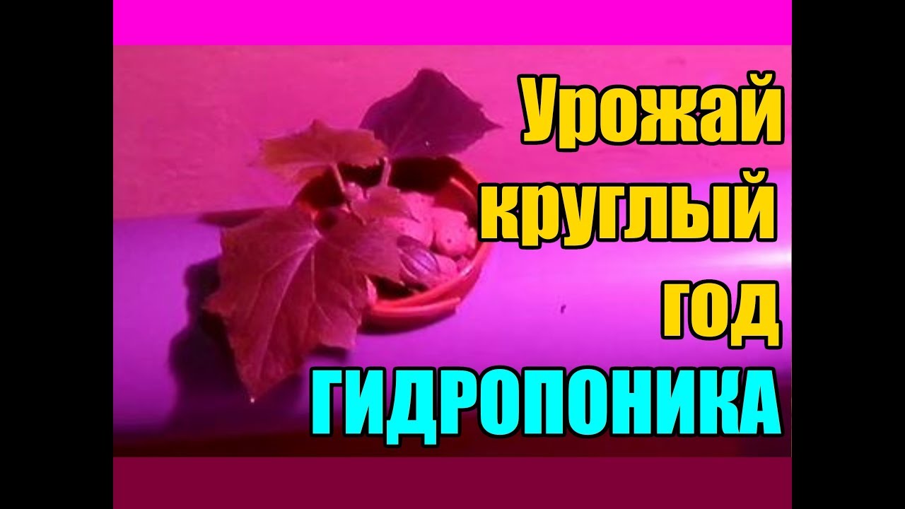 Нажмите, чтобы запустить видео