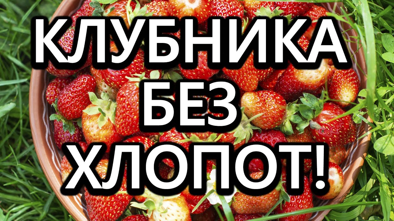 Нажмите, чтобы запустить видео