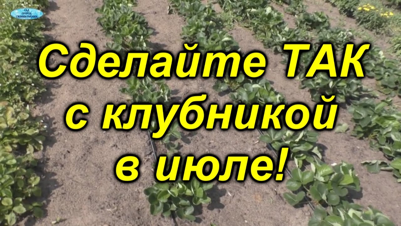 Нажмите, чтобы запустить видео