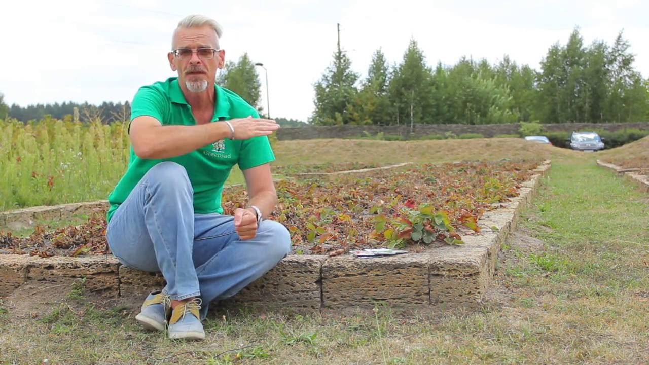 Нажмите, чтобы запустить видео