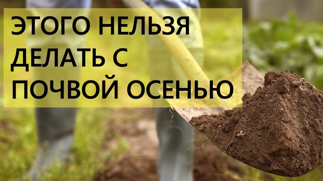Нажмите, чтобы запустить видео