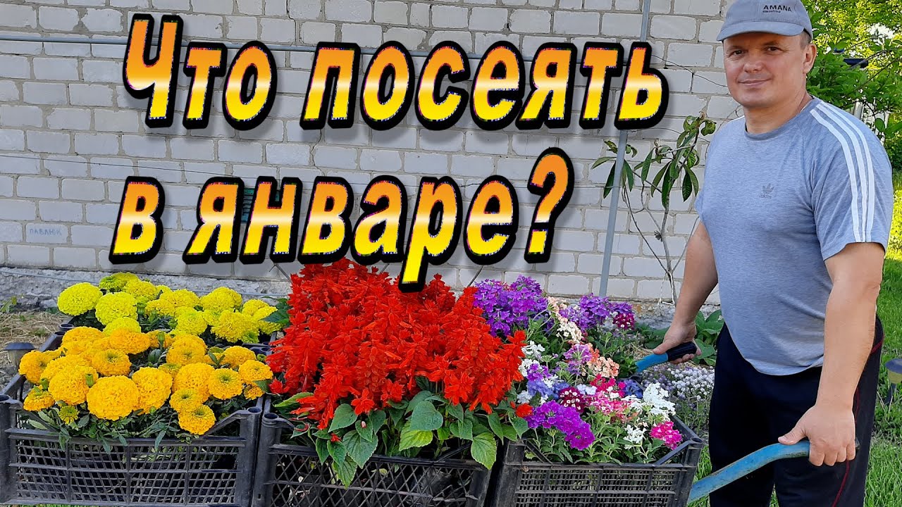 Нажмите, чтобы запустить видео