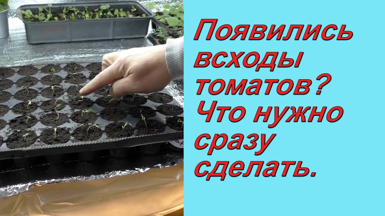 Нажмите, чтобы запустить видео
