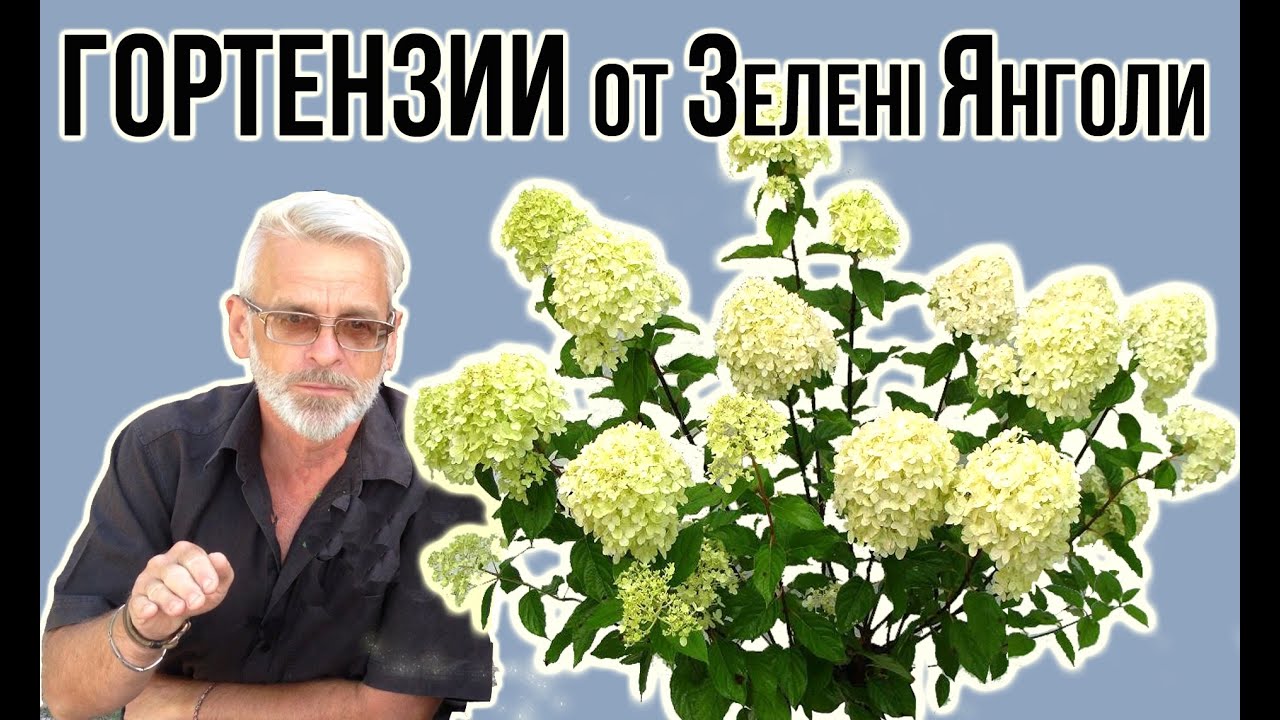 Нажмите, чтобы запустить видео