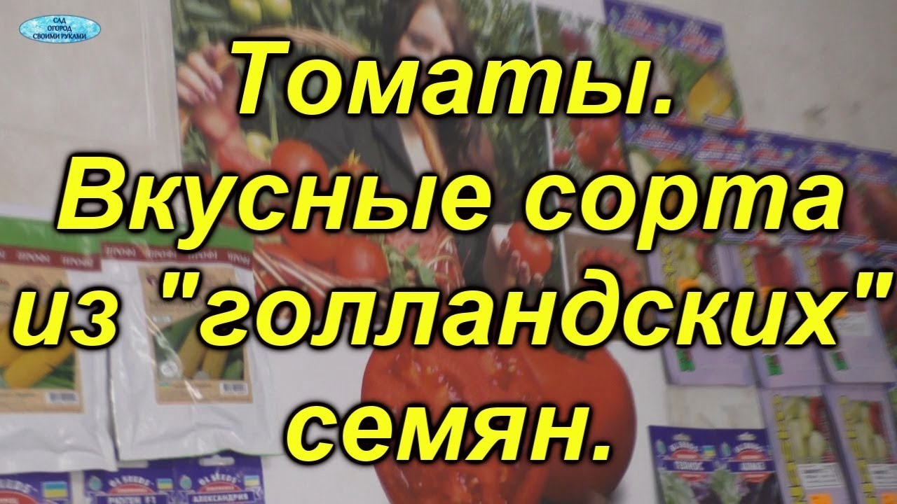 Нажмите, чтобы запустить видео