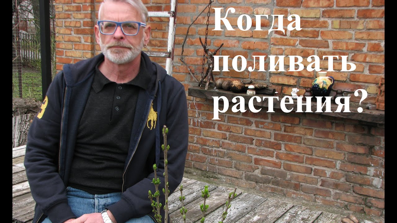 Нажмите, чтобы запустить видео