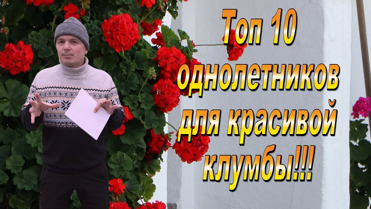 Нажмите, чтобы запустить видео