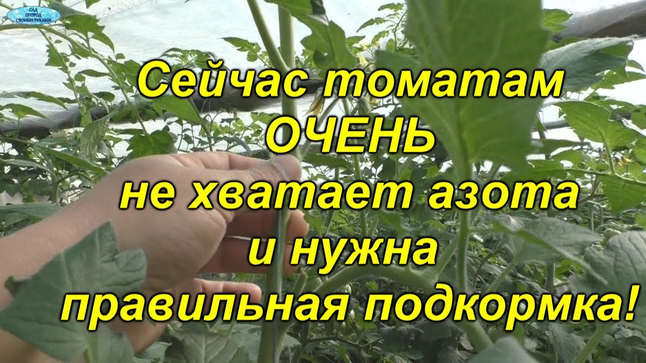 Нажмите, чтобы запустить видео