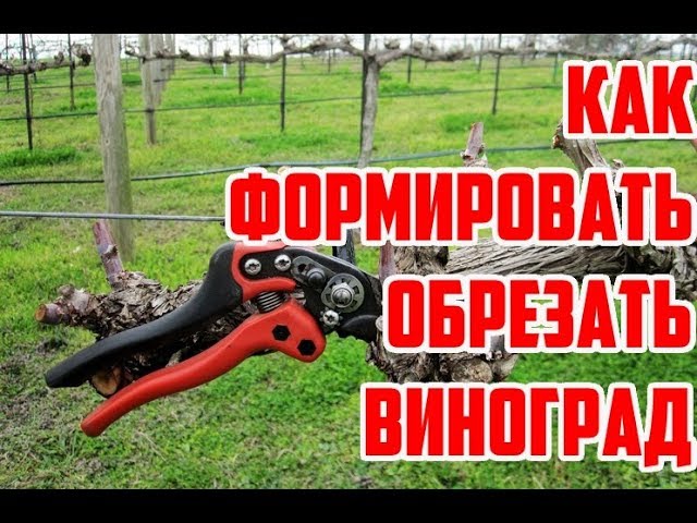 Нажмите, чтобы запустить видео