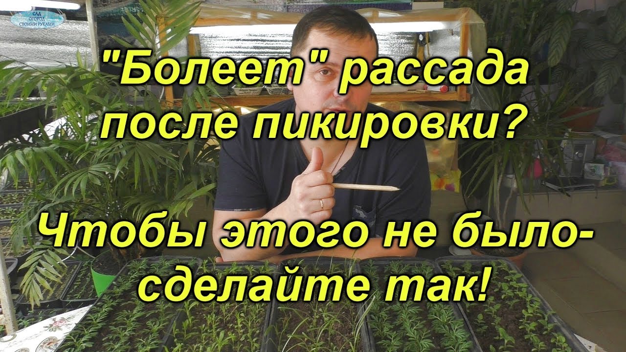 Нажмите, чтобы запустить видео
