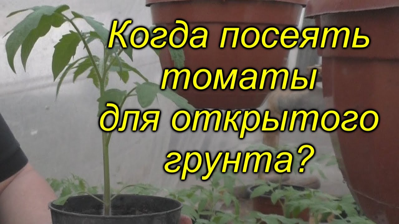 Нажмите, чтобы запустить видео