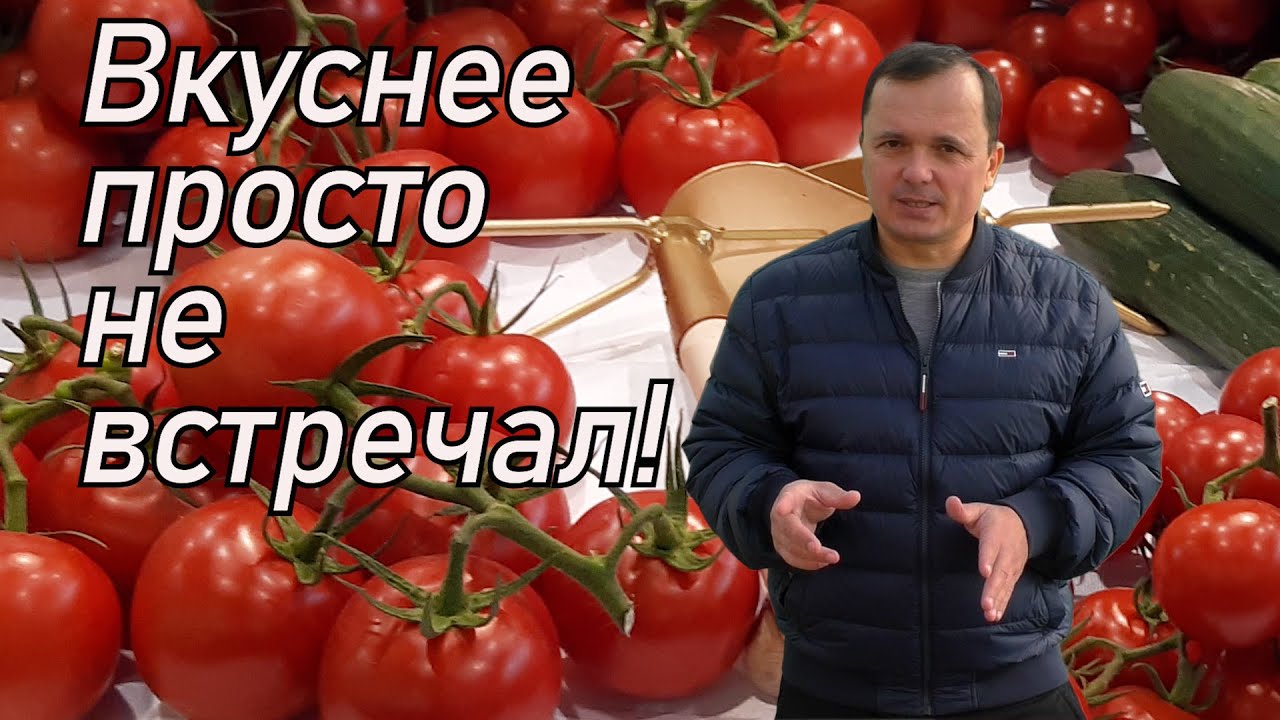 Нажмите, чтобы запустить видео