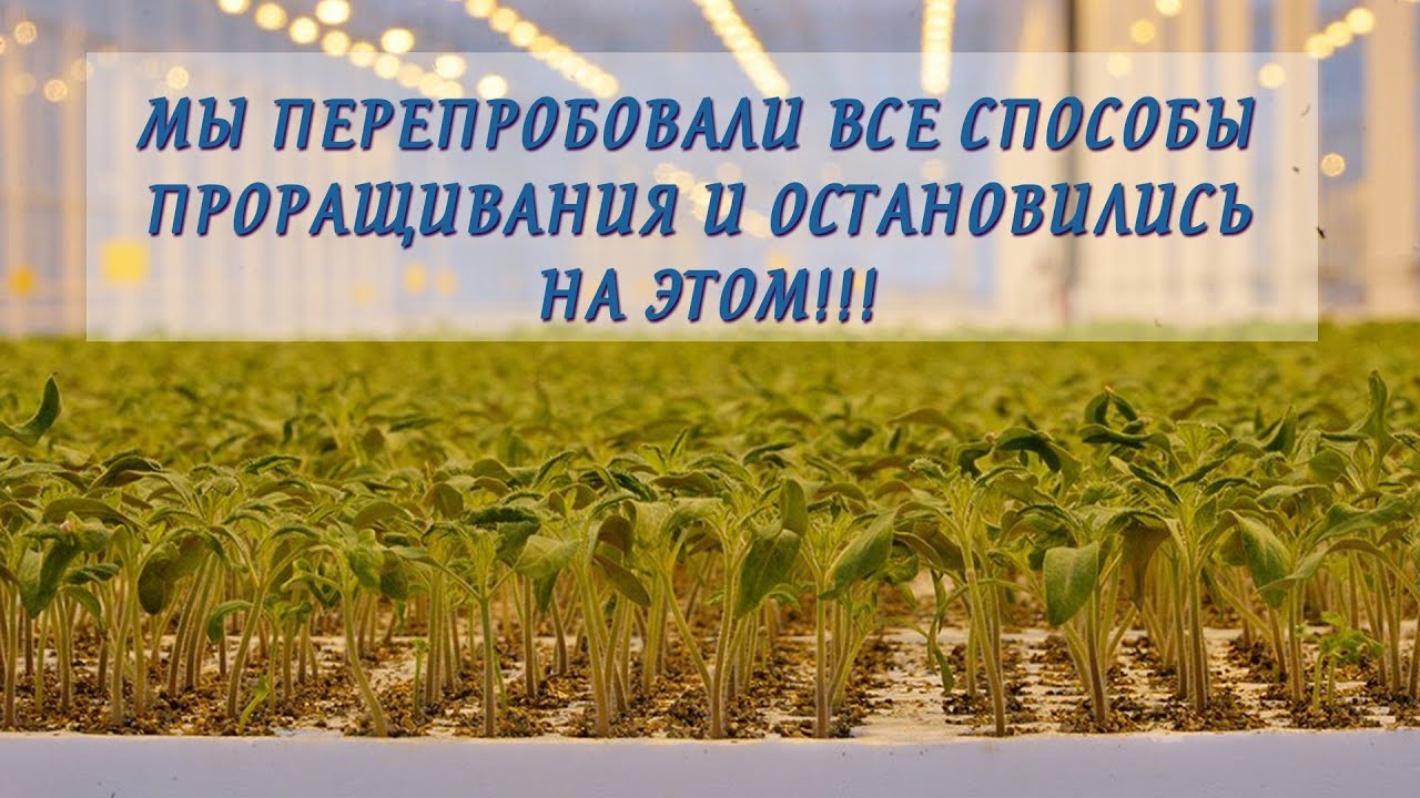 Нажмите, чтобы запустить видео