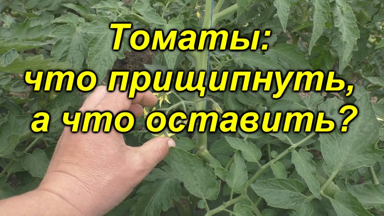 Нажмите, чтобы запустить видео
