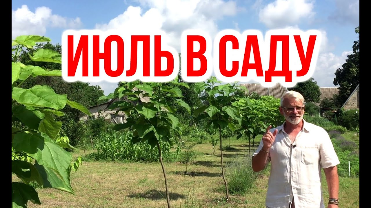 Нажмите, чтобы запустить видео