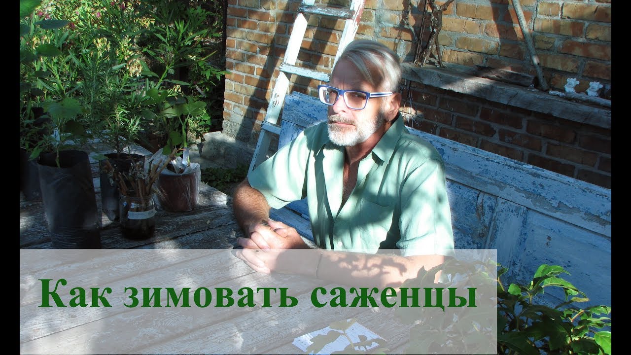 Нажмите, чтобы запустить видео
