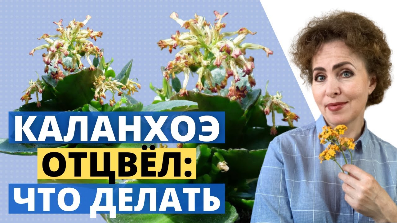 Нажмите, чтобы запустить видео
