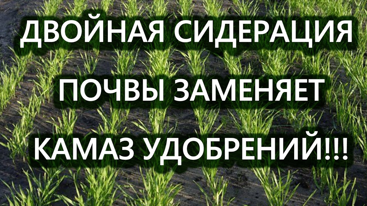 Нажмите, чтобы запустить видео
