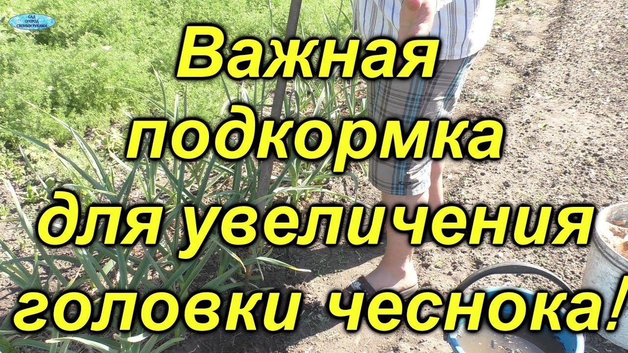 Нажмите, чтобы запустить видео