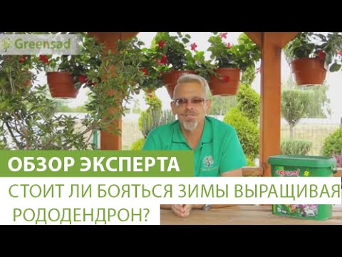 Нажмите, чтобы запустить видео