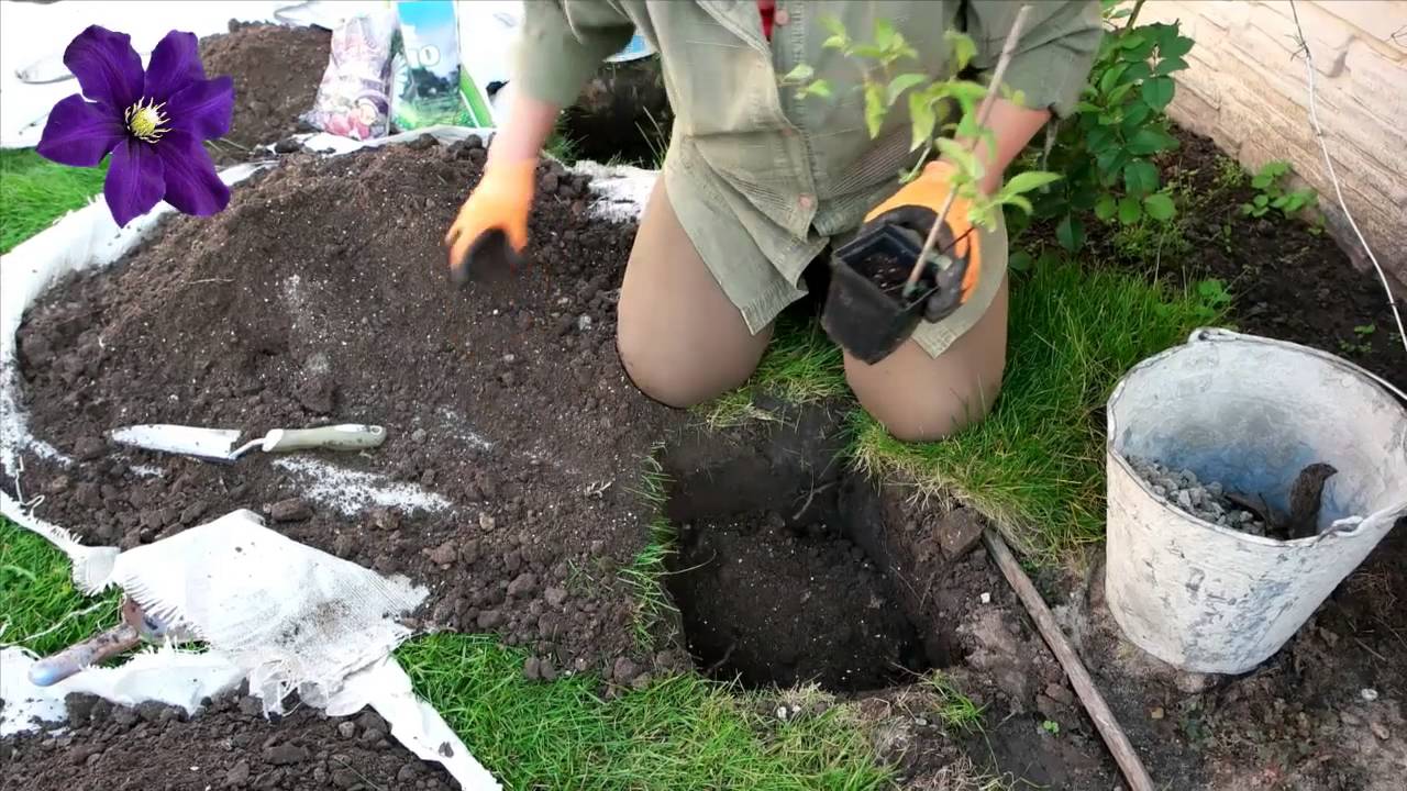Нажмите, чтобы запустить видео