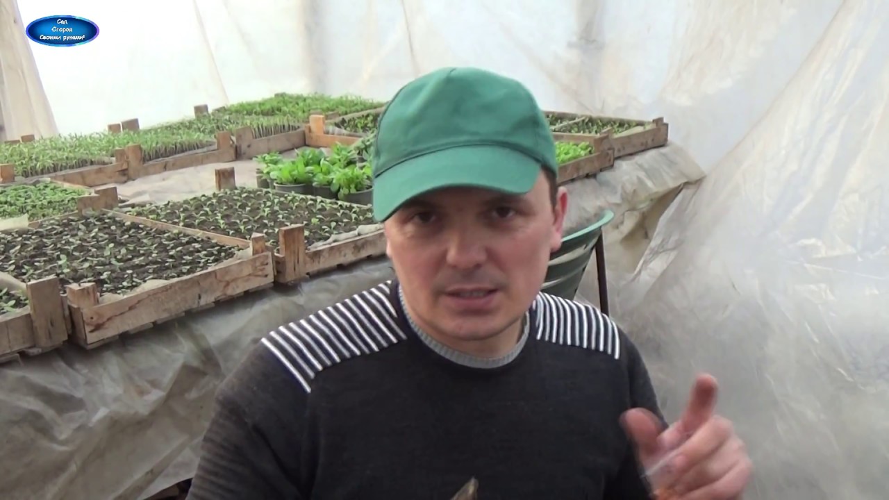 Нажмите, чтобы запустить видео
