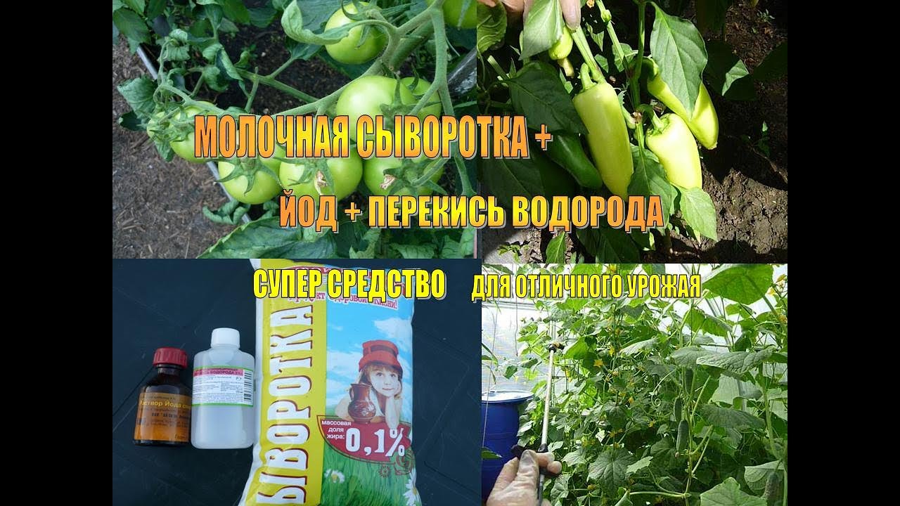 Нажмите, чтобы запустить видео