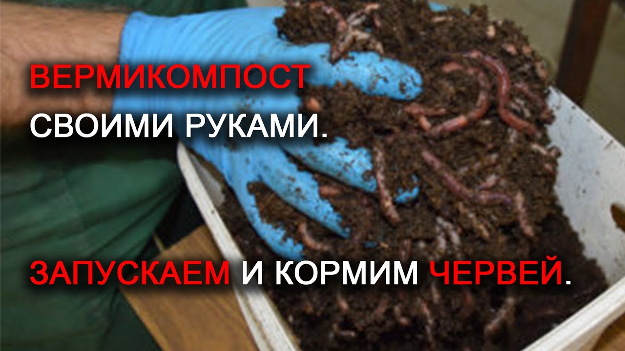 Нажмите, чтобы запустить видео