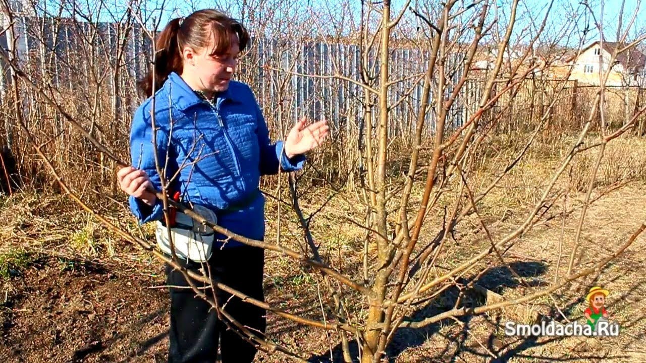 Нажмите, чтобы запустить видео