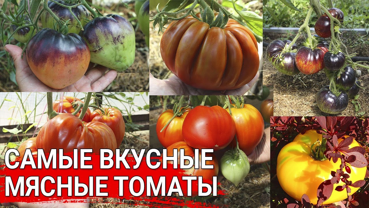 Нажмите, чтобы запустить видео