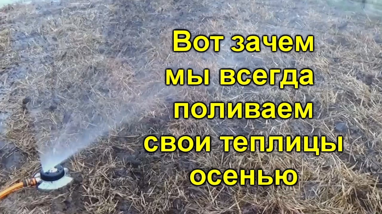 Нажмите, чтобы запустить видео